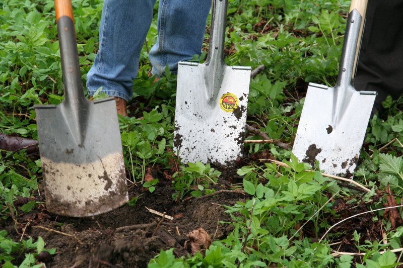 pepiniere-DRAGUIGNAN-min_work-lawn-flower-tool-green-backyard-1103633-pxhere.com